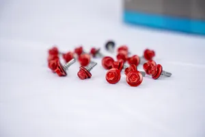 Color Screws (250pc)